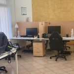 Fnewgoldsede (2)
