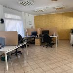 Fnewgoldsede (4)